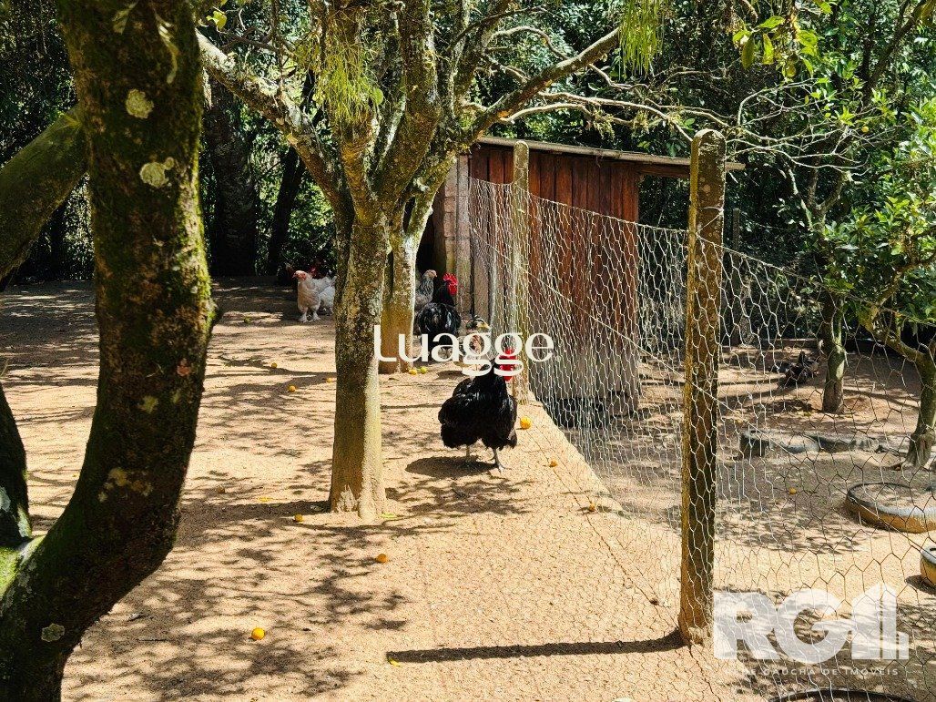 Sítio à venda com 3 quartos, 112m² - Foto 14