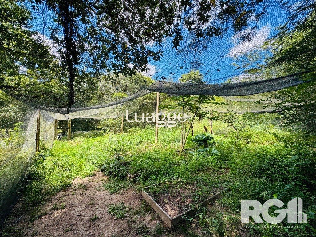 Sítio à venda com 3 quartos, 112m² - Foto 17