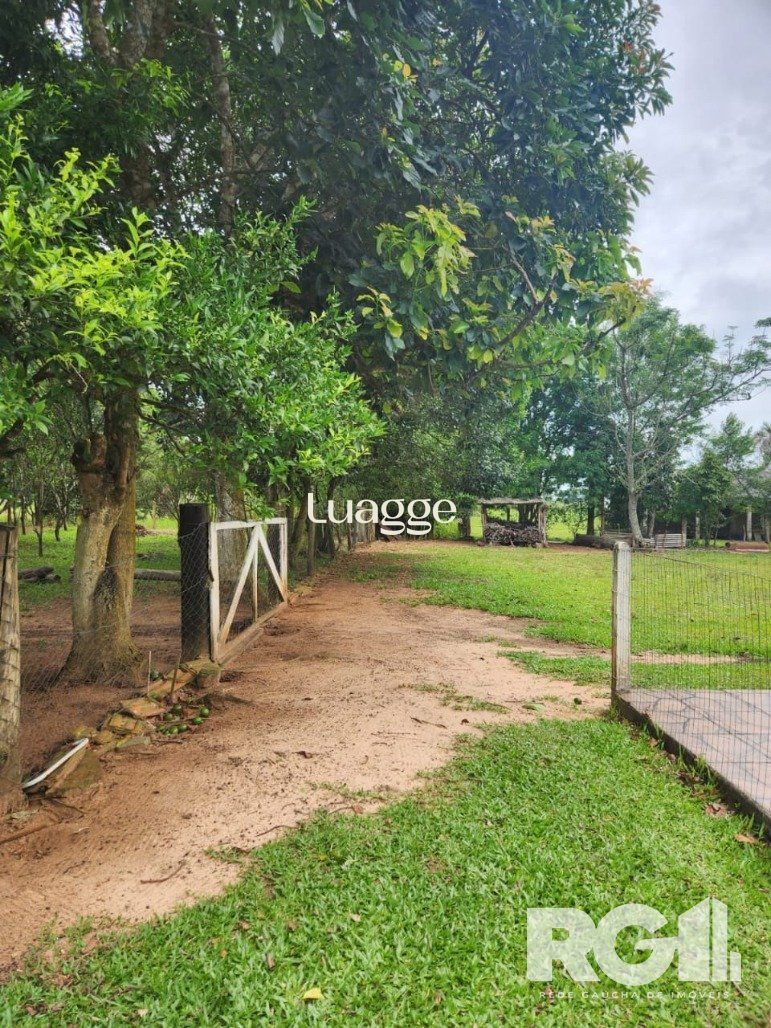 Sítio à venda com 3 quartos, 72m² - Foto 11