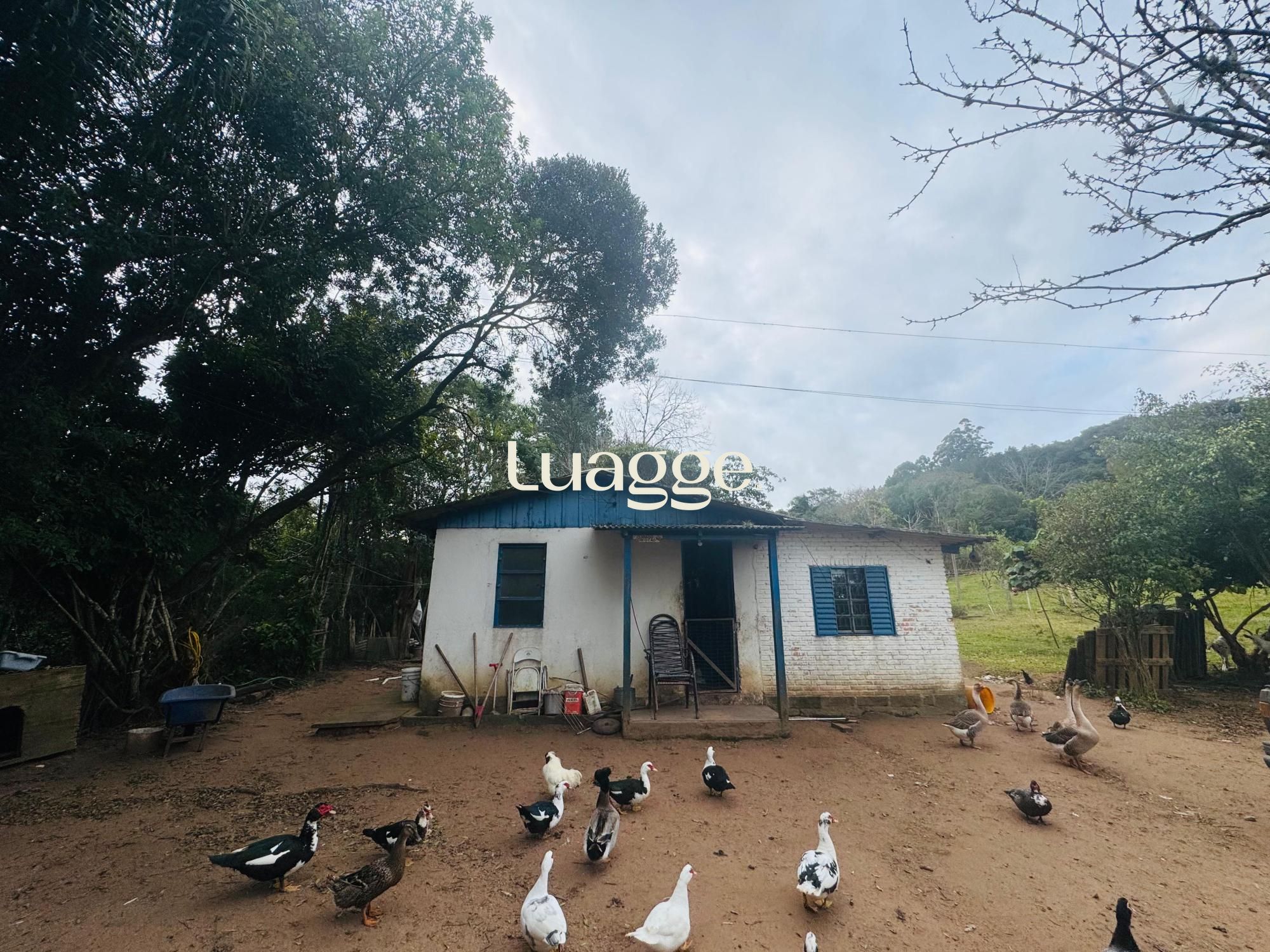 Chácara à venda com 2 quartos, 2m² - Foto 2