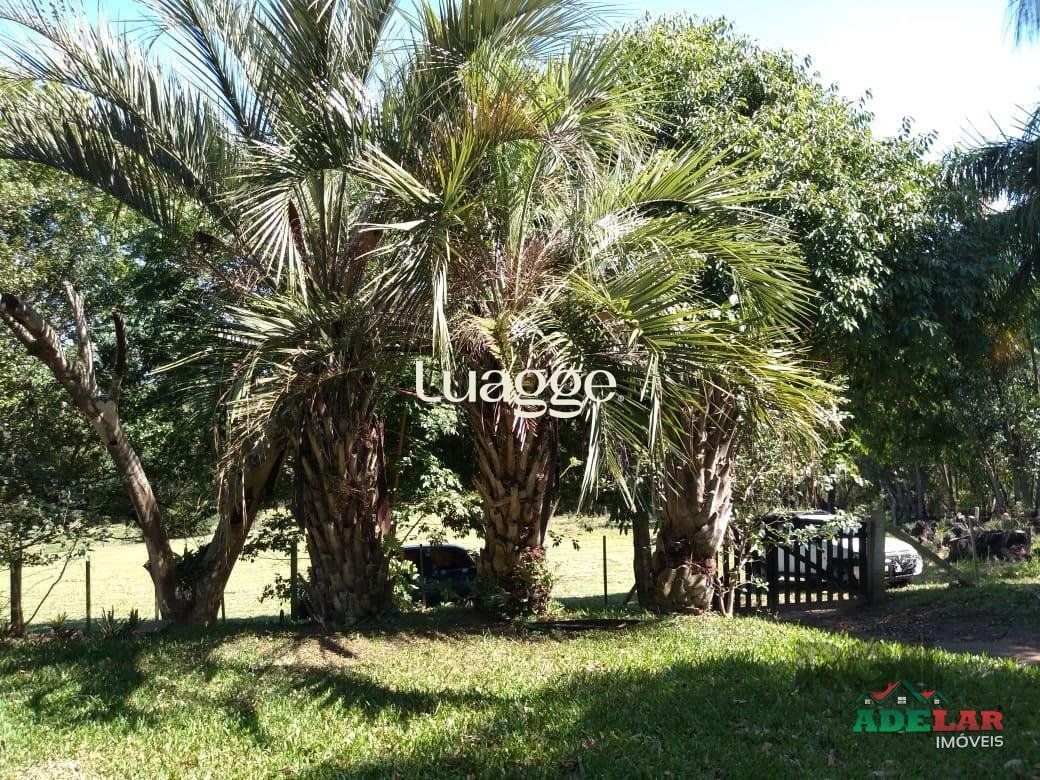 Sítio à venda com 4 quartos, 76739m² - Foto 36