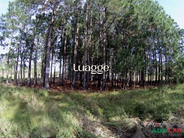 Terreno, 3061 m² - Foto 3