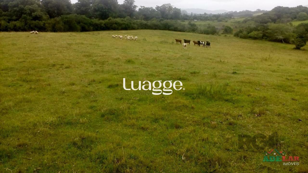 Sítio, 2 quartos, 100001 m² - Foto 43