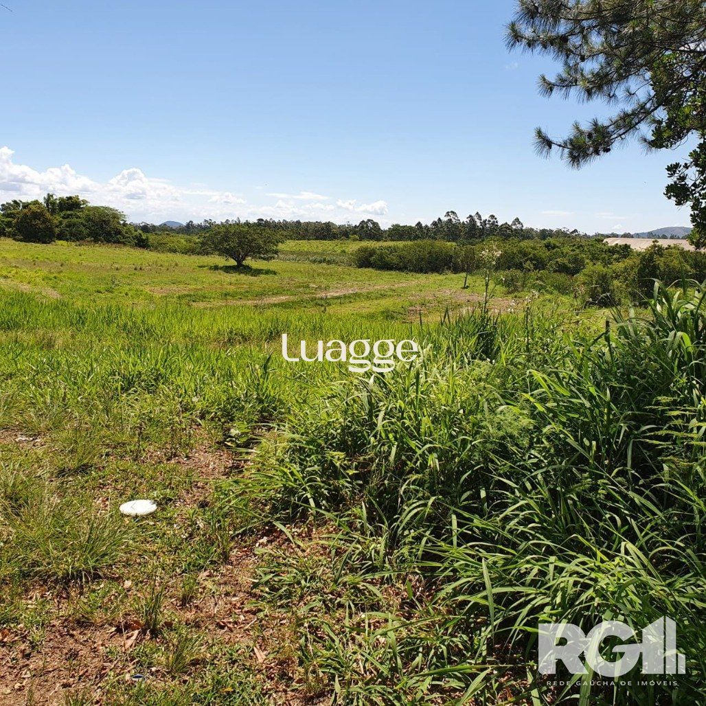 Terreno, 1001 m² - Foto 4