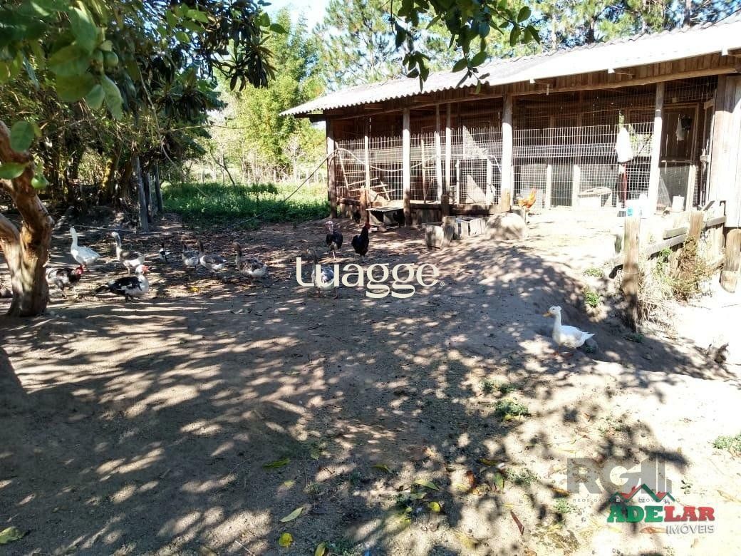 Sítio à venda com 4 quartos, 76739m² - Foto 12