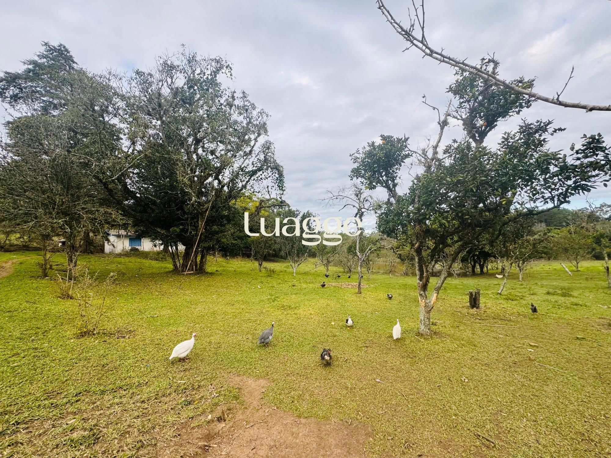 Chácara à venda com 2 quartos, 2m² - Foto 16