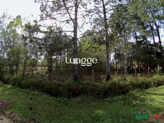 Terreno, 3061 m² - Foto 4