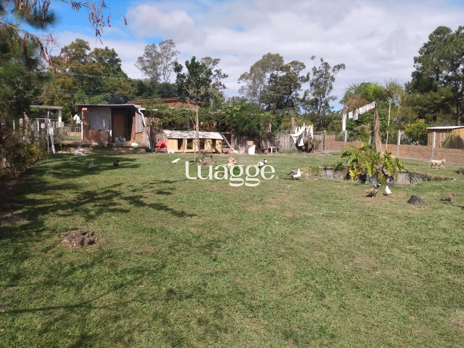 Chácara, 2 quartos - Foto 1