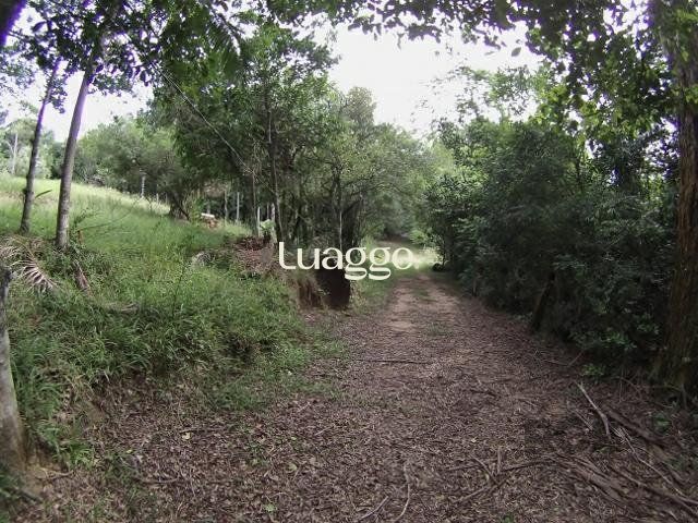 Sítio, 6681 m² - Foto 17