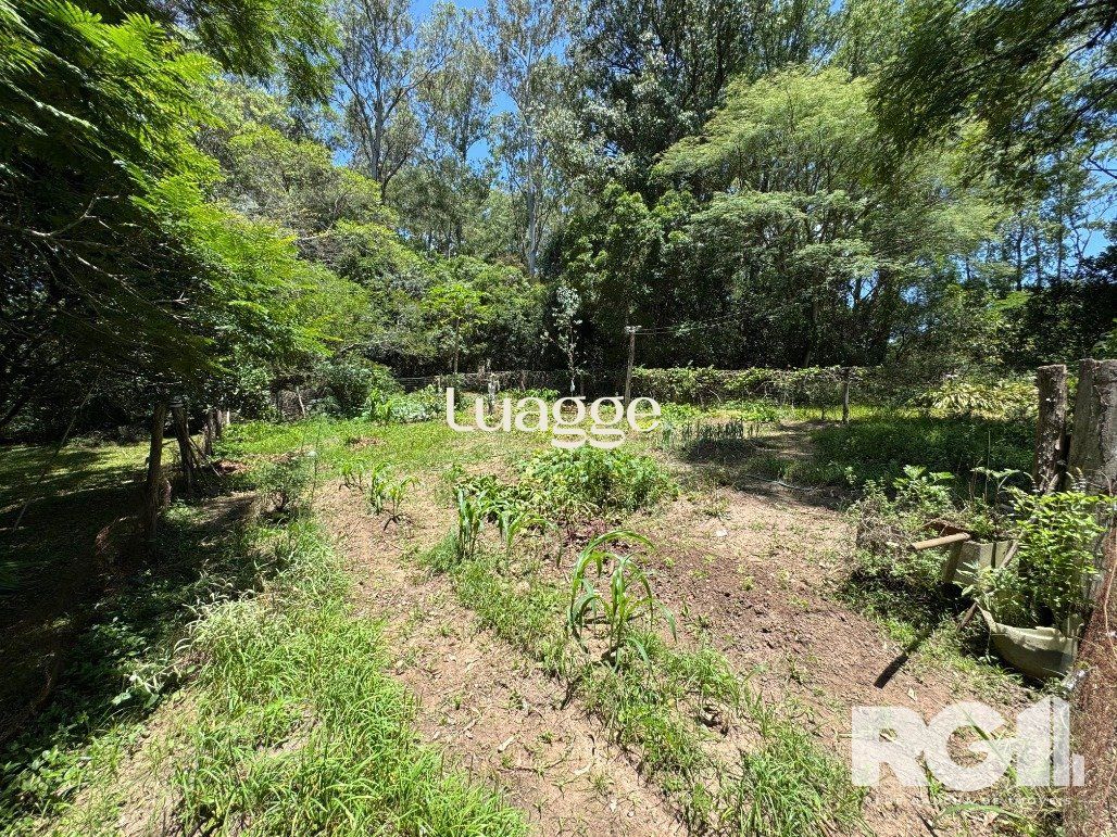 Sítio à venda com 4 quartos, 119m² - Foto 29