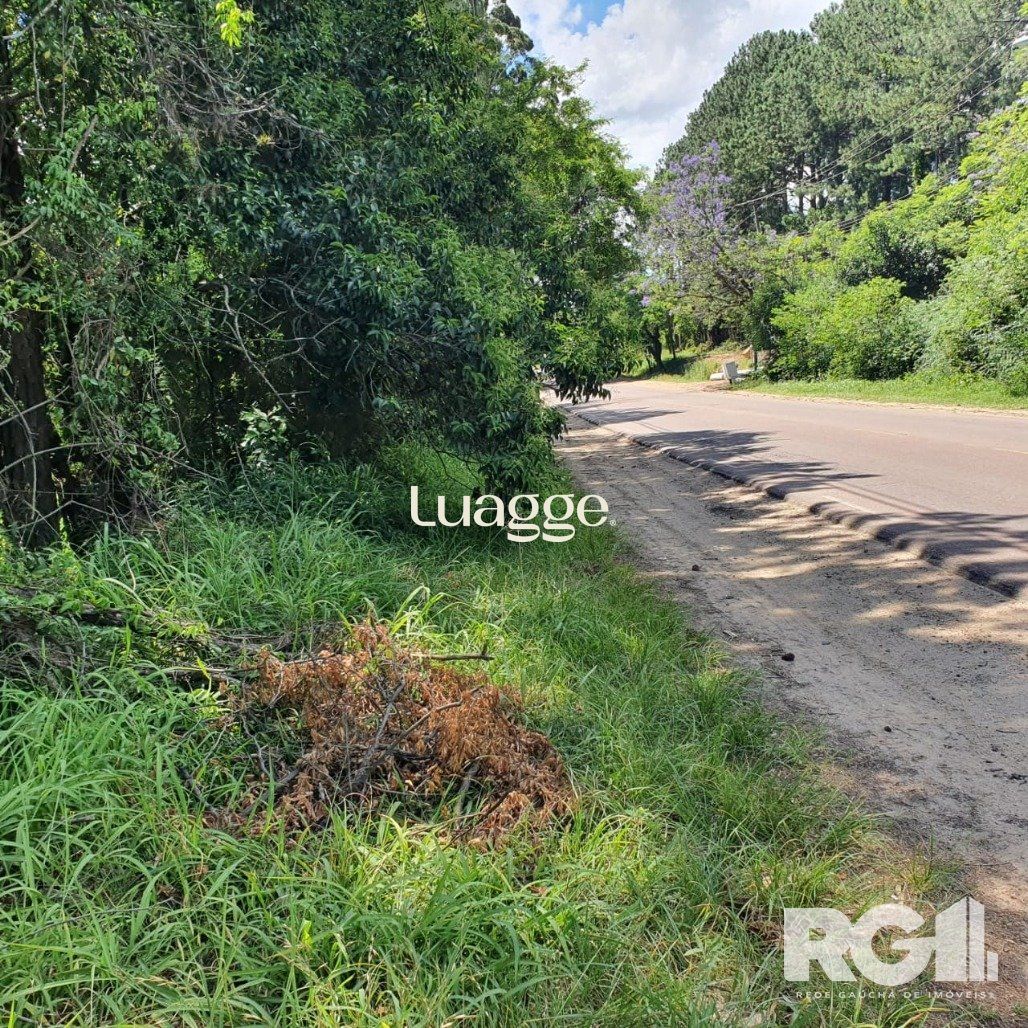 Terreno, 1001 m² - Foto 2