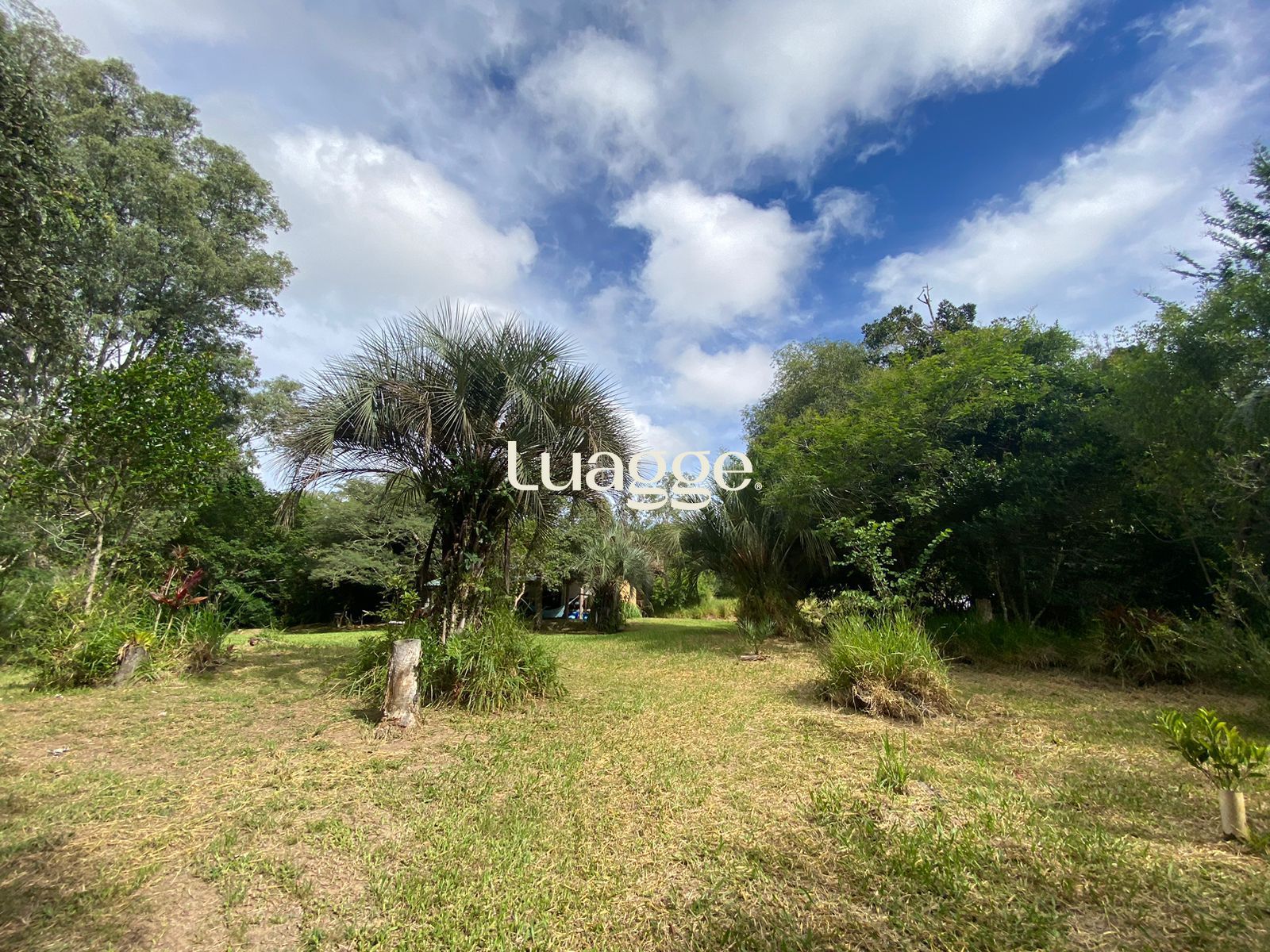 Sítio à venda com 1 quarto, 116m² - Foto 38