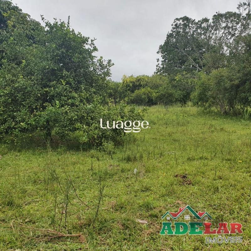 Terreno, 3713 m² - Foto 3