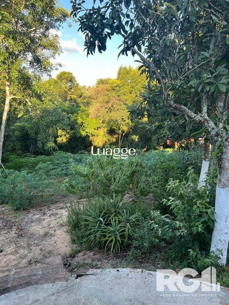 Sítio à venda com 3 quartos, 63m² - Foto 15