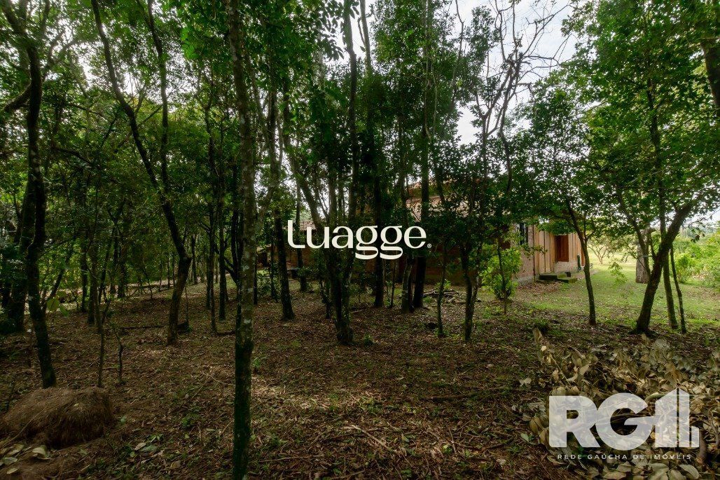 Sítio, 4 quartos, 6650 m² - Foto 37