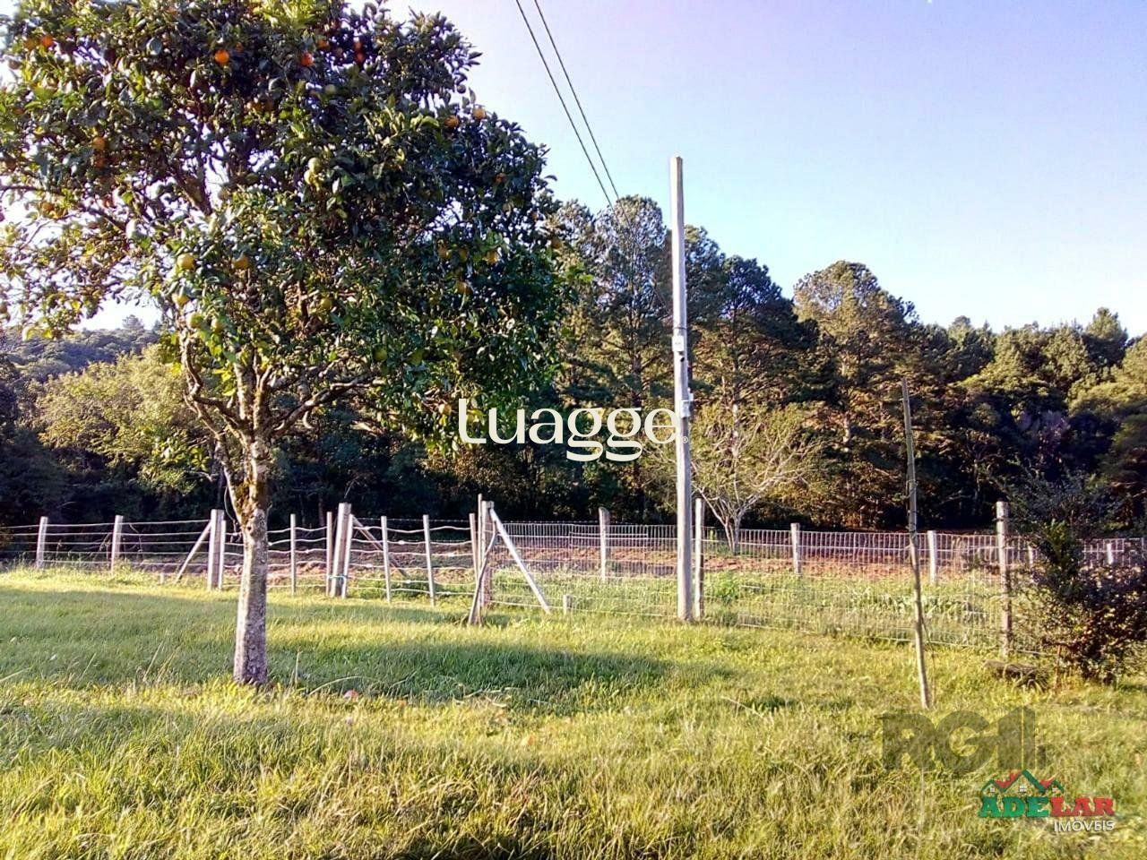 Sítio à venda com 2 quartos, 30002m² - Foto 87