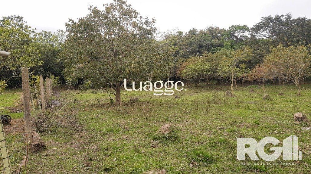 Sítio à venda com 2 quartos, 6612m² - Foto 26