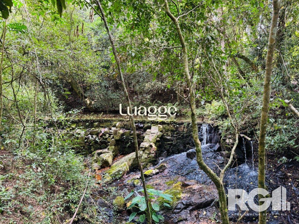 Sítio, 3 quartos, 266 m² - Foto 40