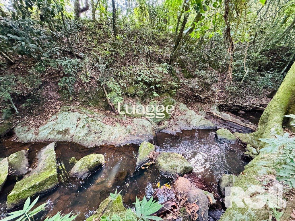 Sítio, 3 quartos, 266 m² - Foto 39