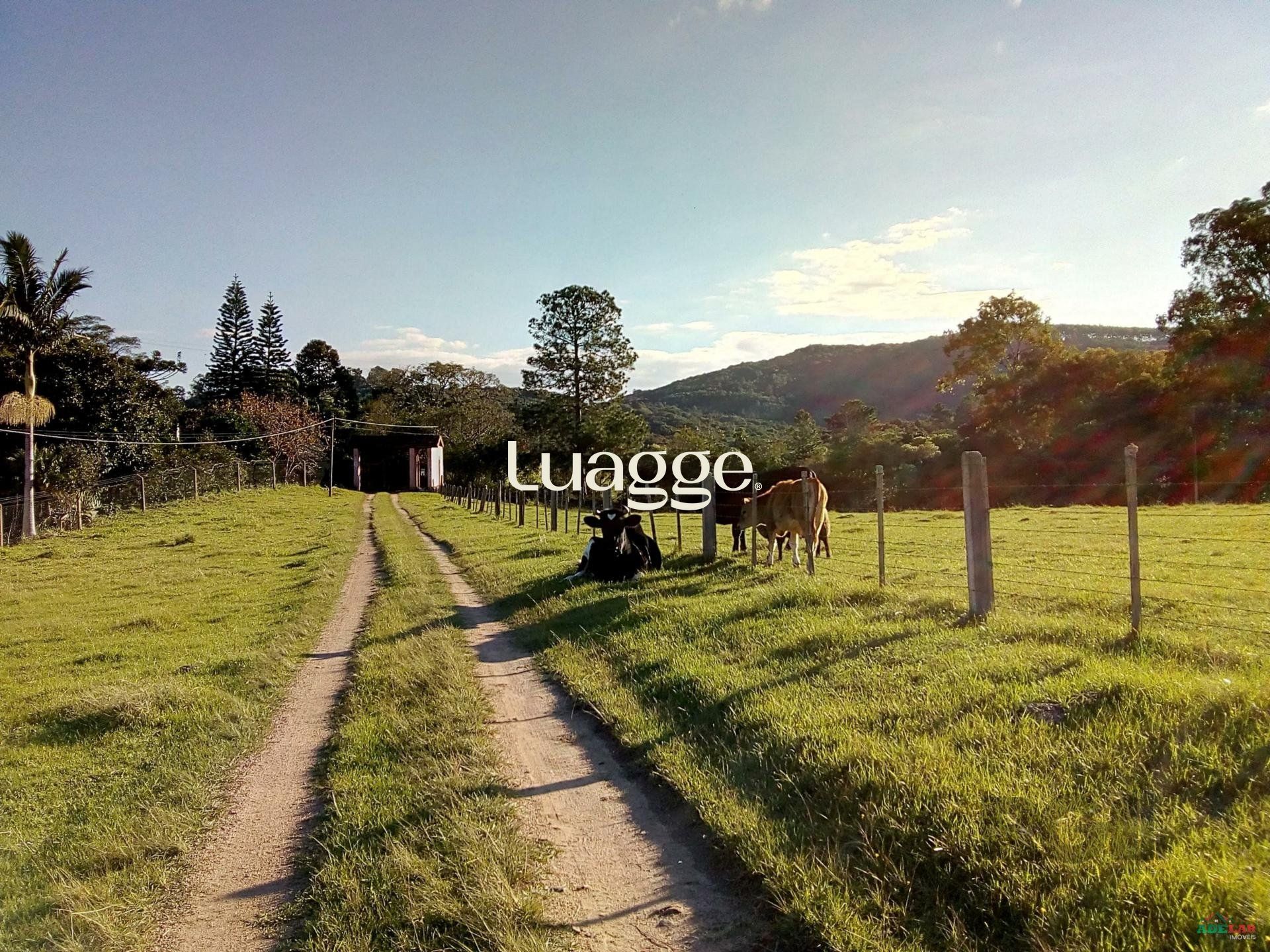 Sítio à venda com 2 quartos, 30002m² - Foto 47