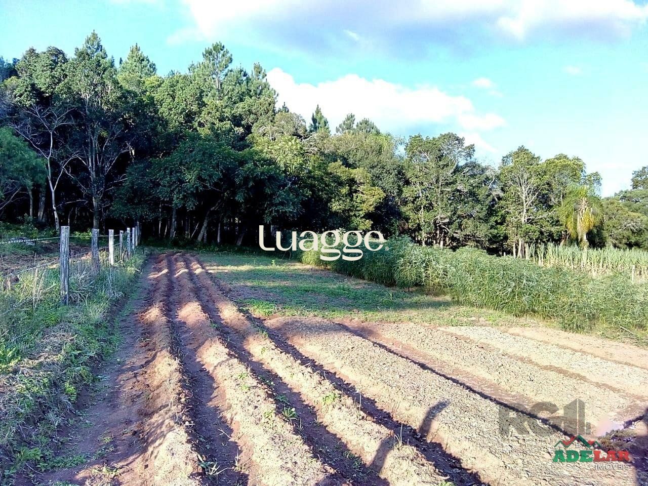 Sítio à venda com 2 quartos, 30002m² - Foto 96