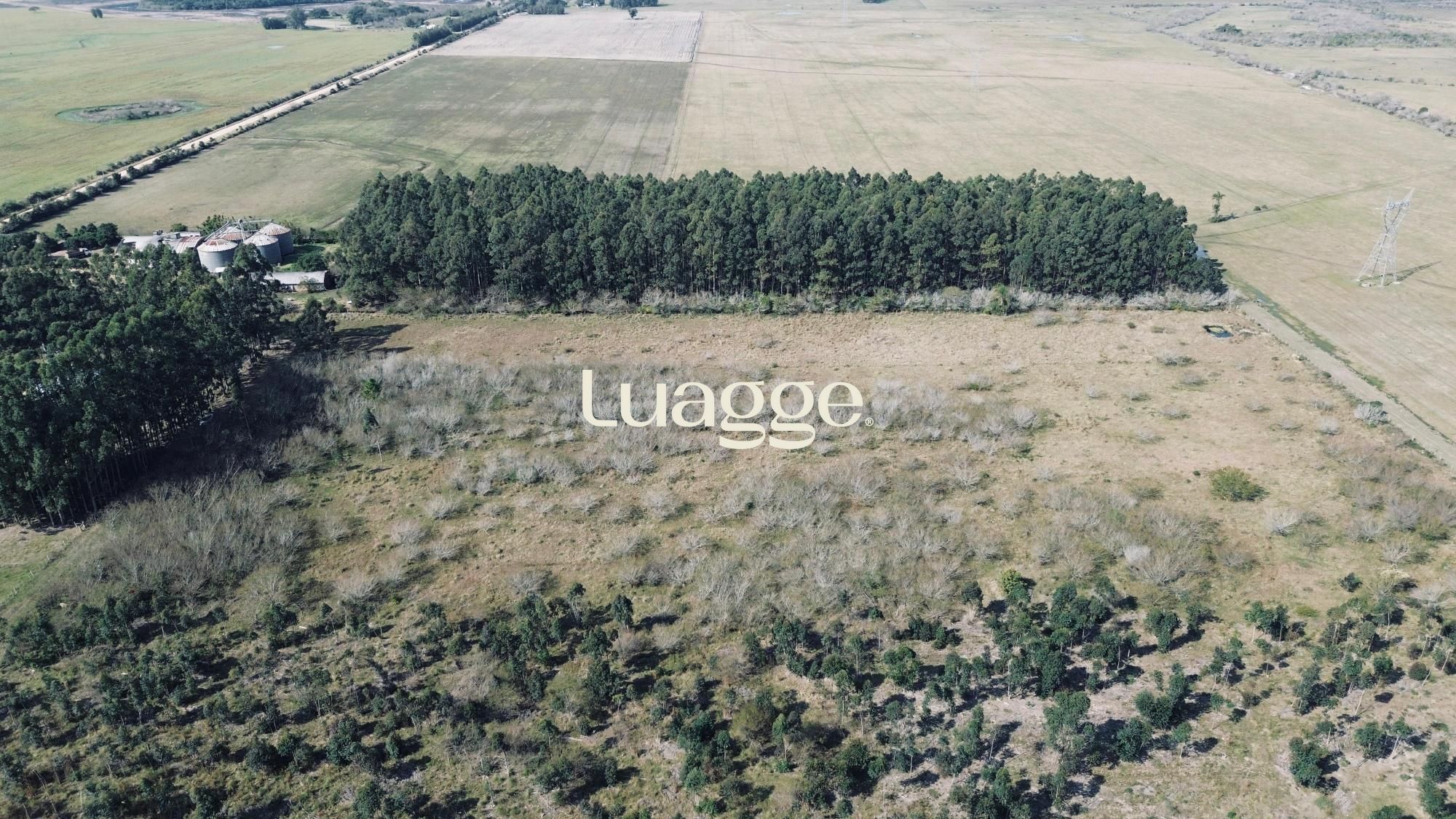 Terreno, 2 hectares - Foto 2