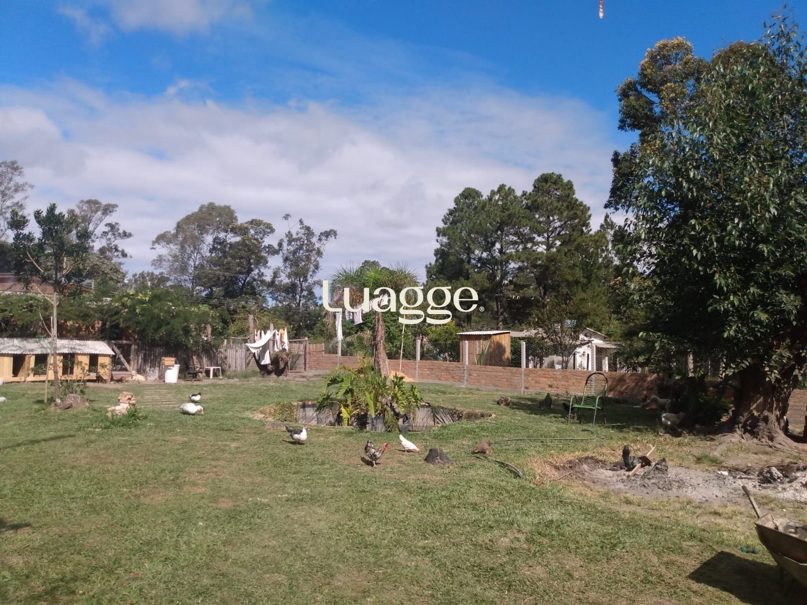 Chácara, 2 quartos - Foto 4