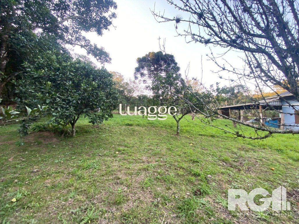 Sítio, 3 quartos, 61 m² - Foto 4