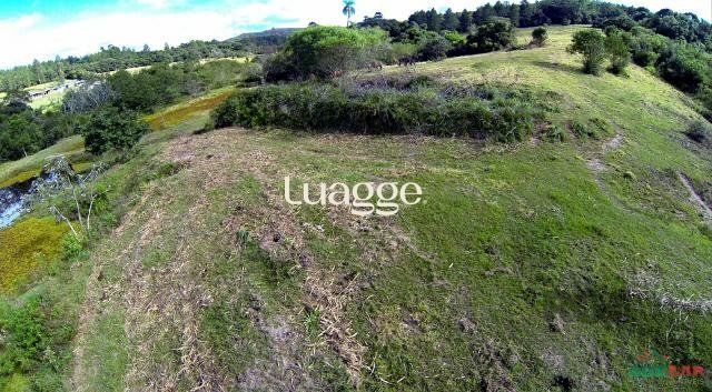 Sítio, 1501 m² - Foto 2