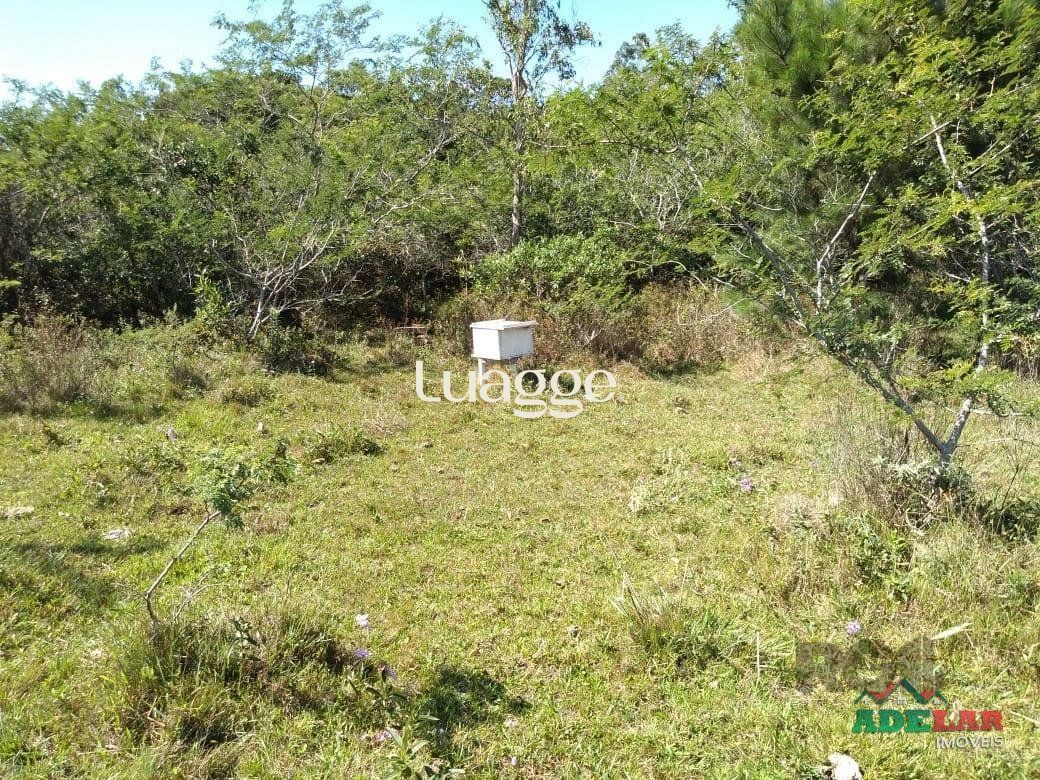 Sítio à venda com 4 quartos, 76739m² - Foto 21