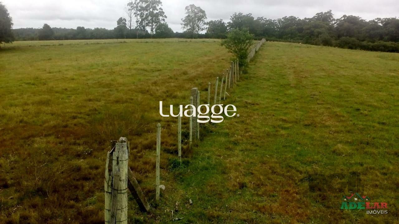 Sítio, 2 quartos, 100001 m² - Foto 33