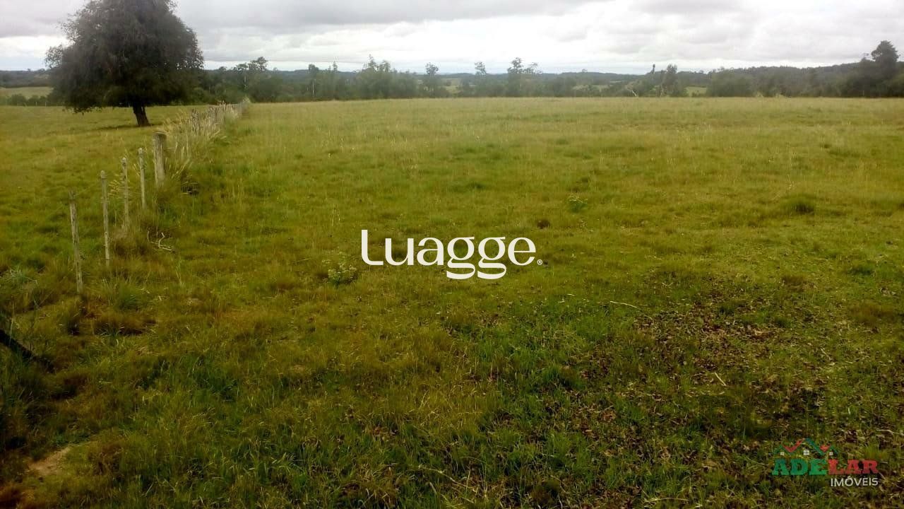 Sítio, 2 quartos, 100001 m² - Foto 37