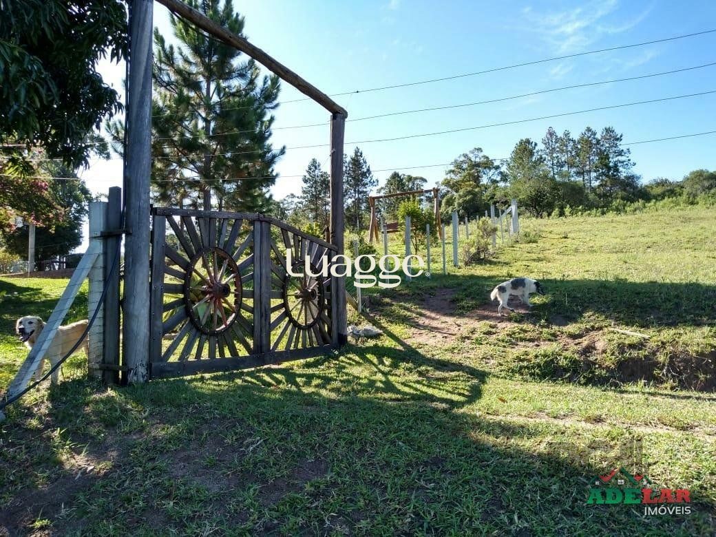 Sítio à venda com 4 quartos, 76739m² - Foto 6