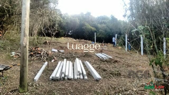 Terreno, 676 m² - Foto 3