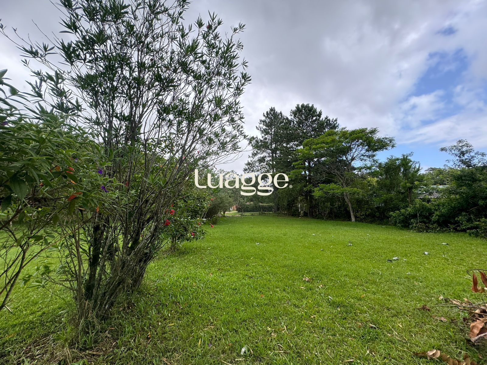 Sítio à venda, 116m² - Foto 5