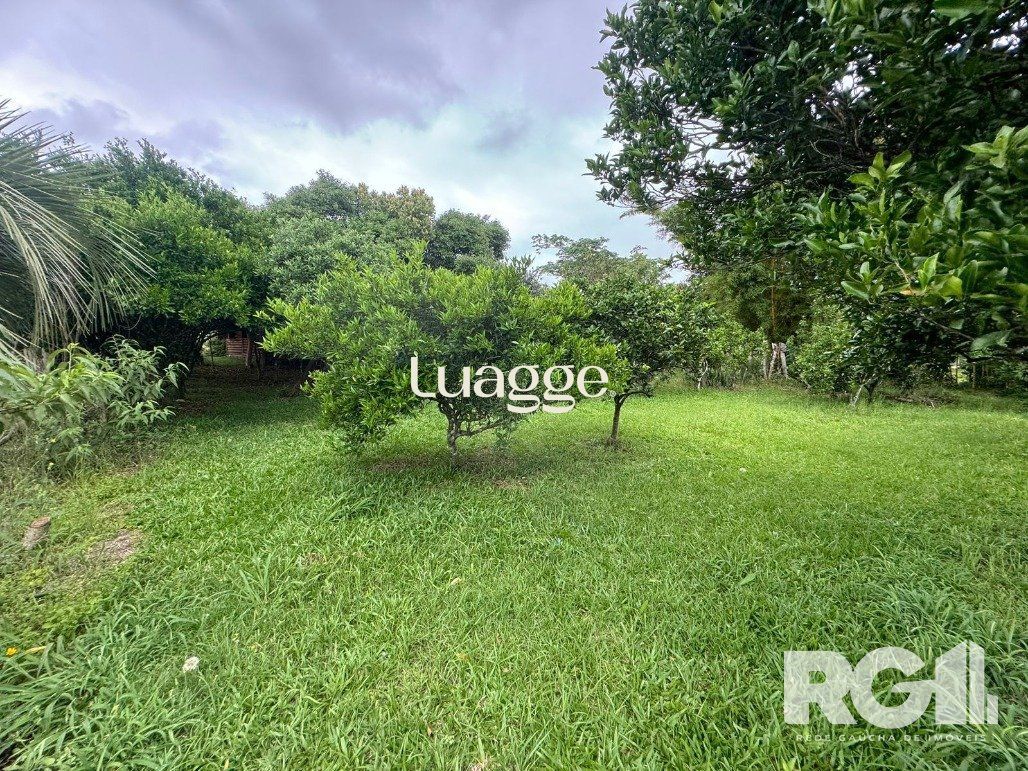 Sítio à venda com 1 quarto, 62m² - Foto 22