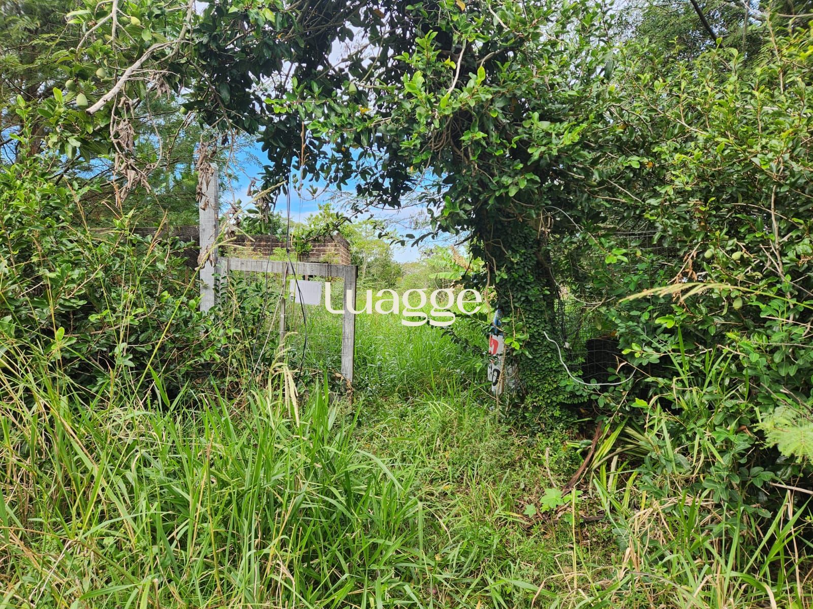 Terreno, 3121 m² - Foto 1