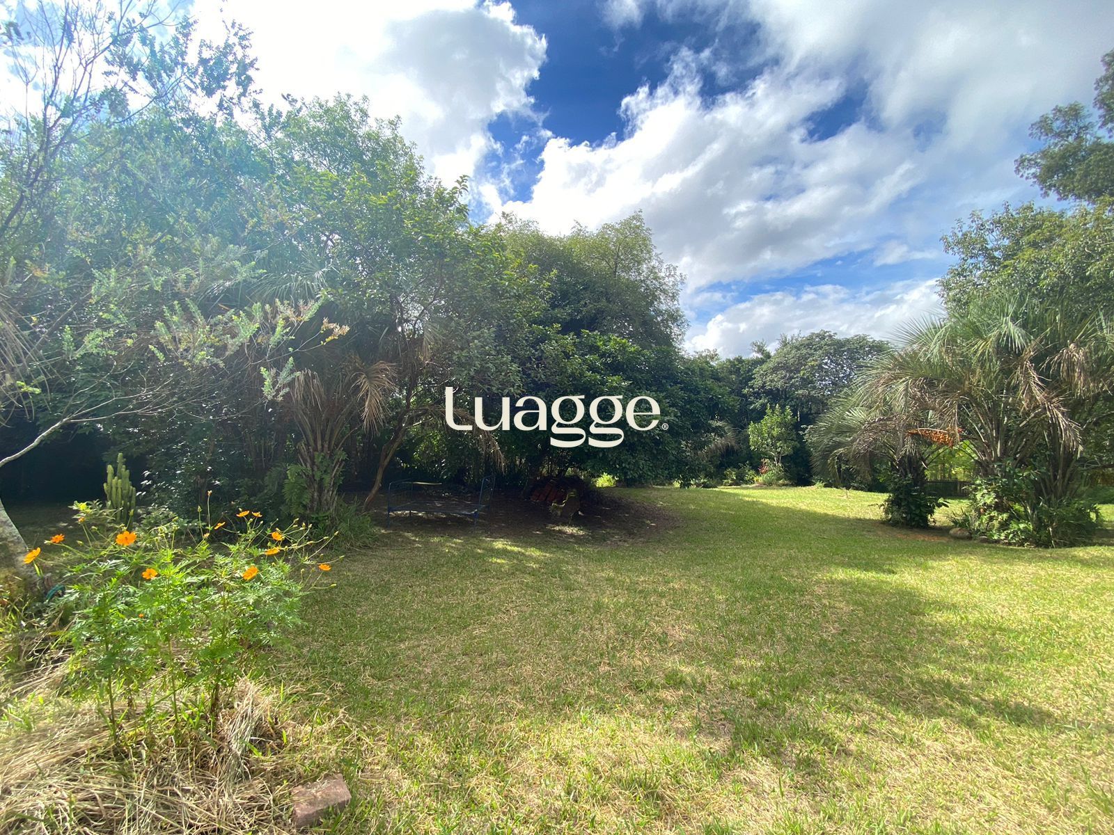 Sítio à venda com 1 quarto, 116m² - Foto 30