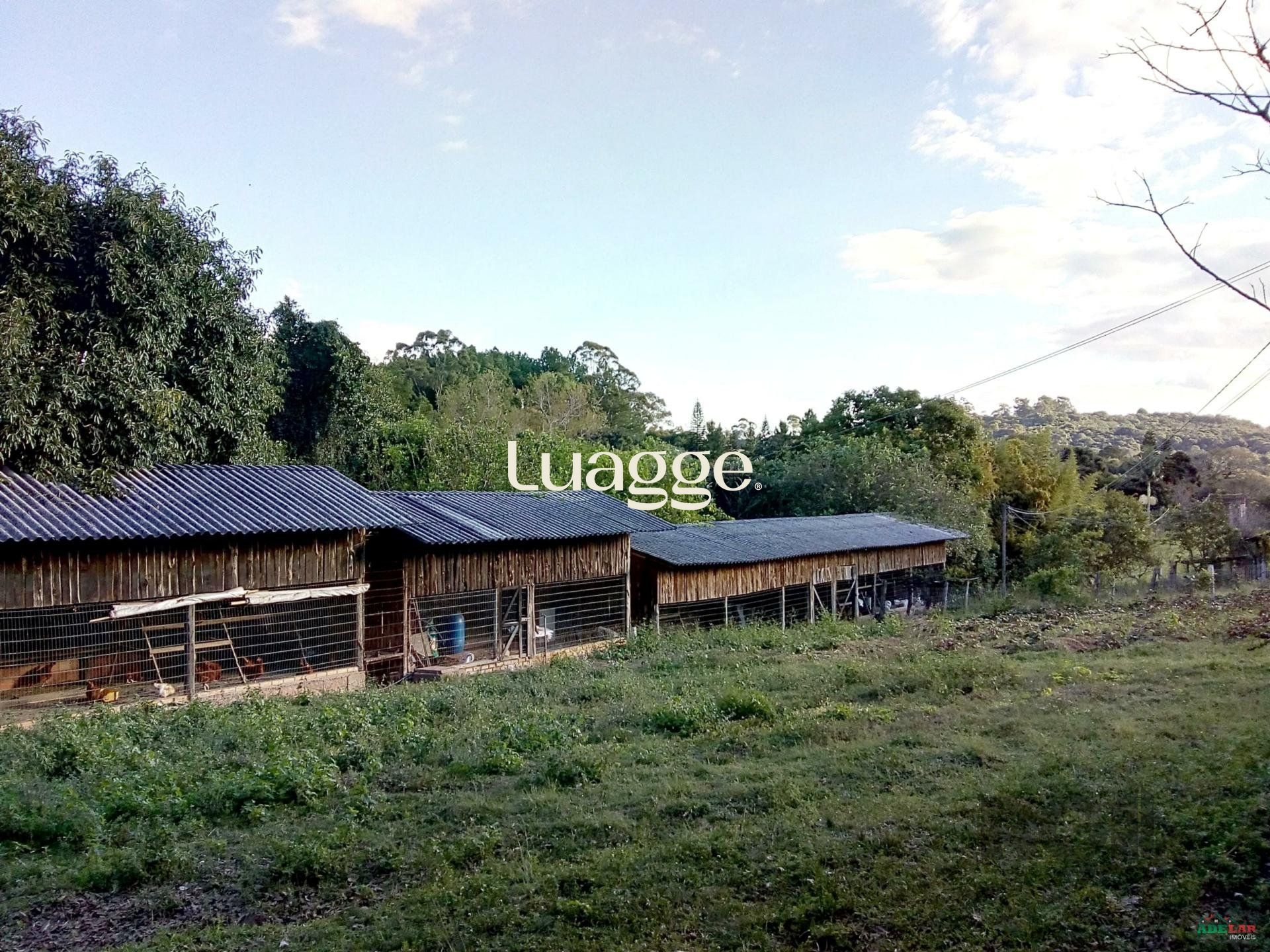 Sítio à venda com 2 quartos, 30002m² - Foto 86