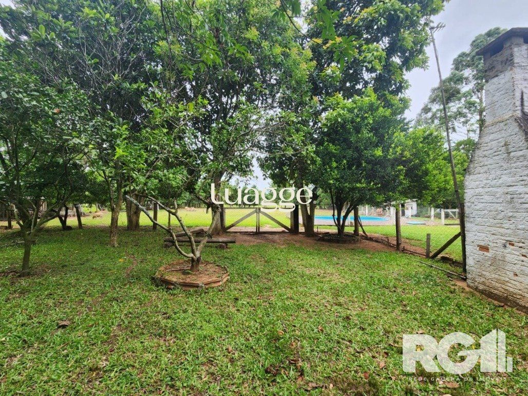 Sítio à venda com 3 quartos, 72m² - Foto 7
