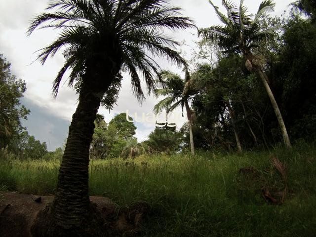 Sítio, 6681 m² - Foto 16