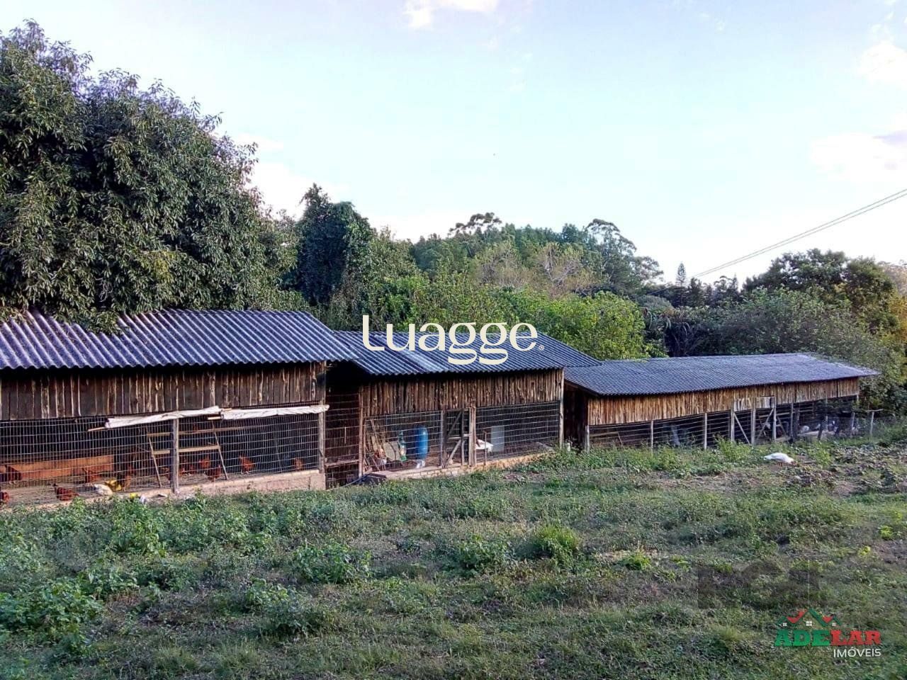 Sítio à venda com 2 quartos, 30002m² - Foto 79
