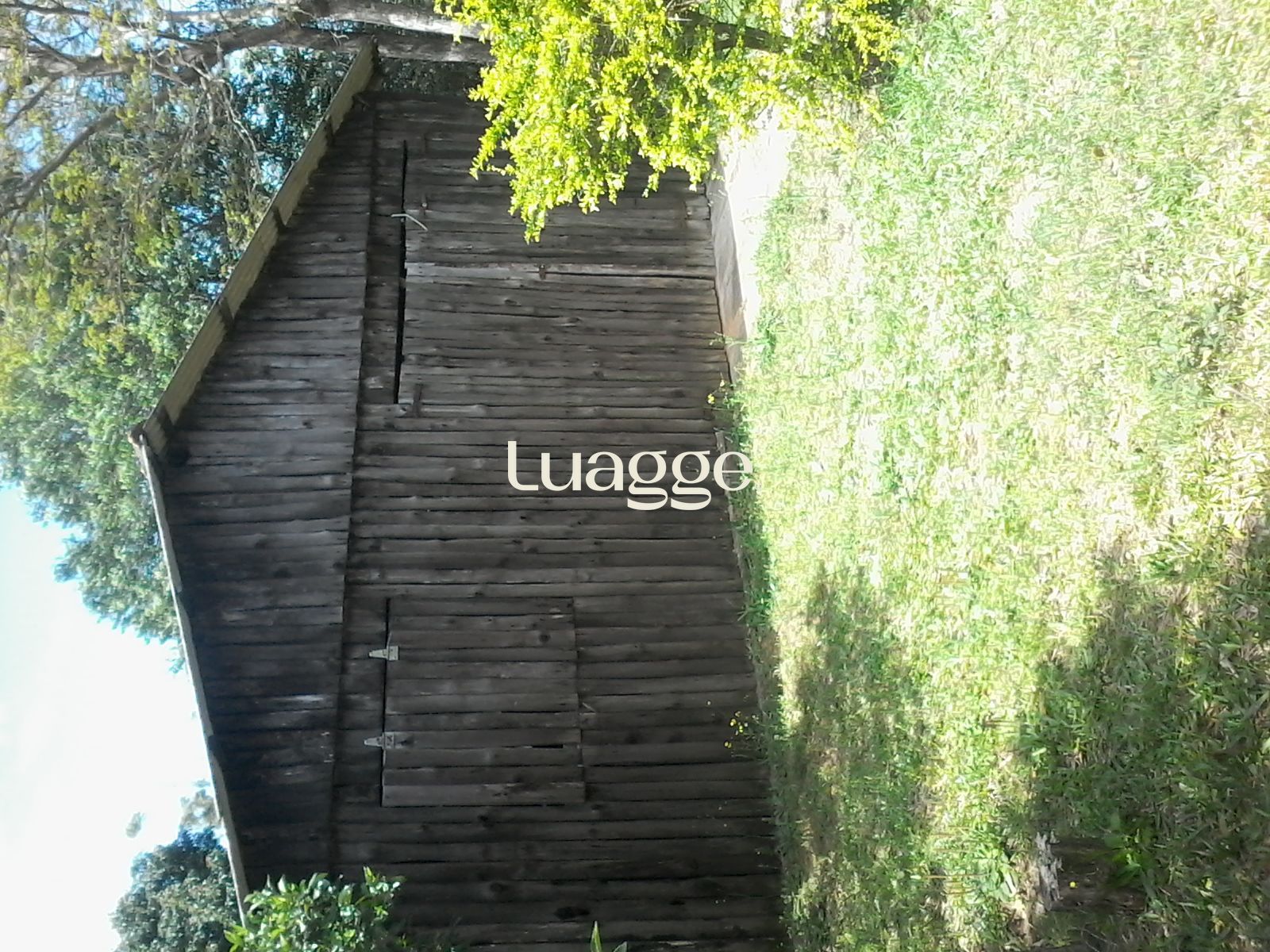 Sítio à venda, 10002m² - Foto 18
