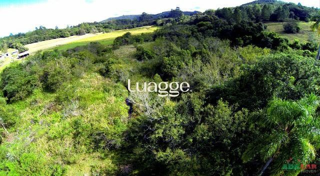 Sítio, 1501 m² - Foto 7