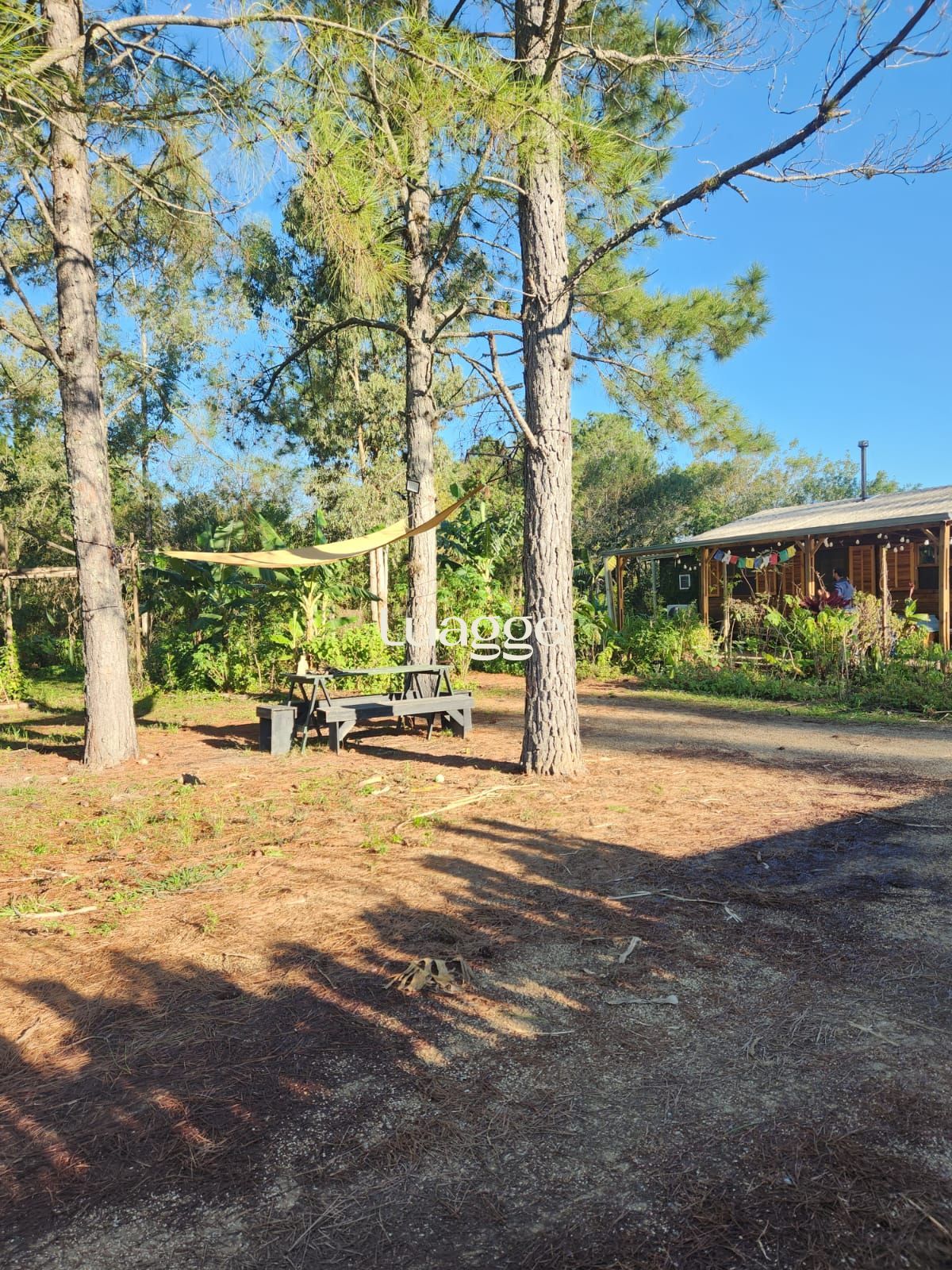 Sítio à venda com 2 quartos, 57m² - Foto 26