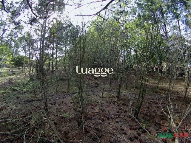 Terreno, 3061 m² - Foto 7