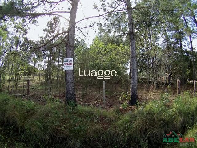 Terreno, 3061 m² - Foto 6