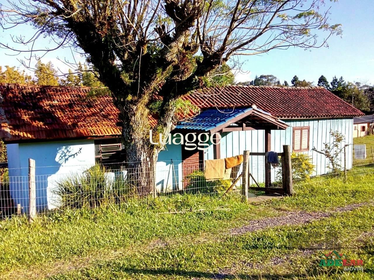 Sítio à venda com 2 quartos, 30002m² - Foto 59