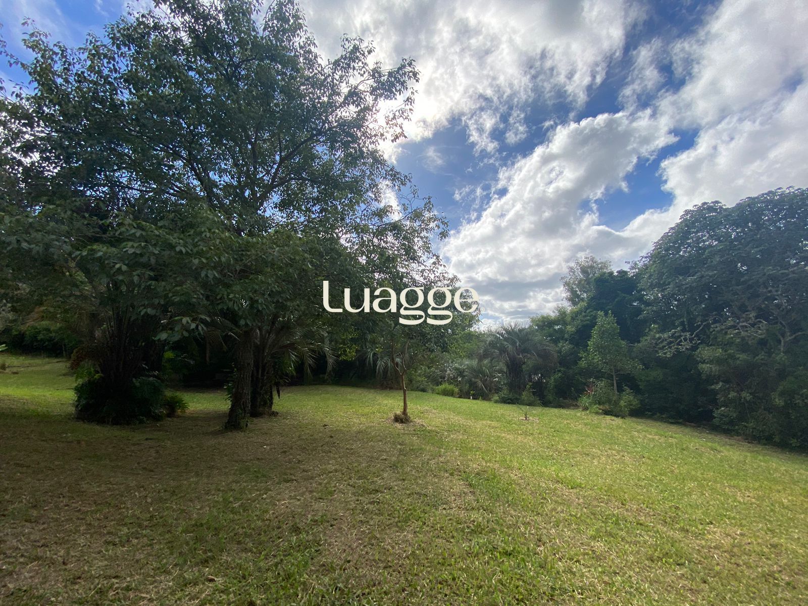 Sítio à venda com 1 quarto, 116m² - Foto 34