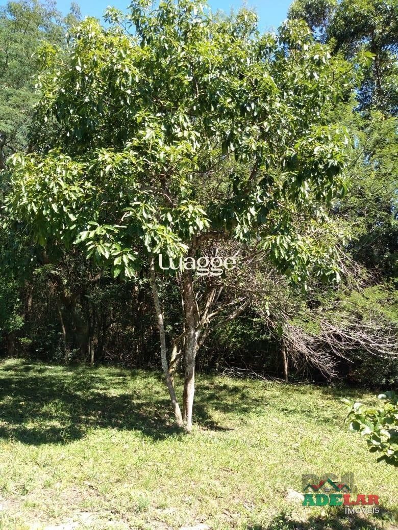 Sítio à venda com 4 quartos, 76739m² - Foto 37